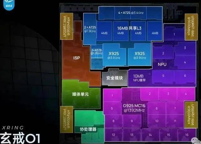 潘展乐腹肌消失术上热门